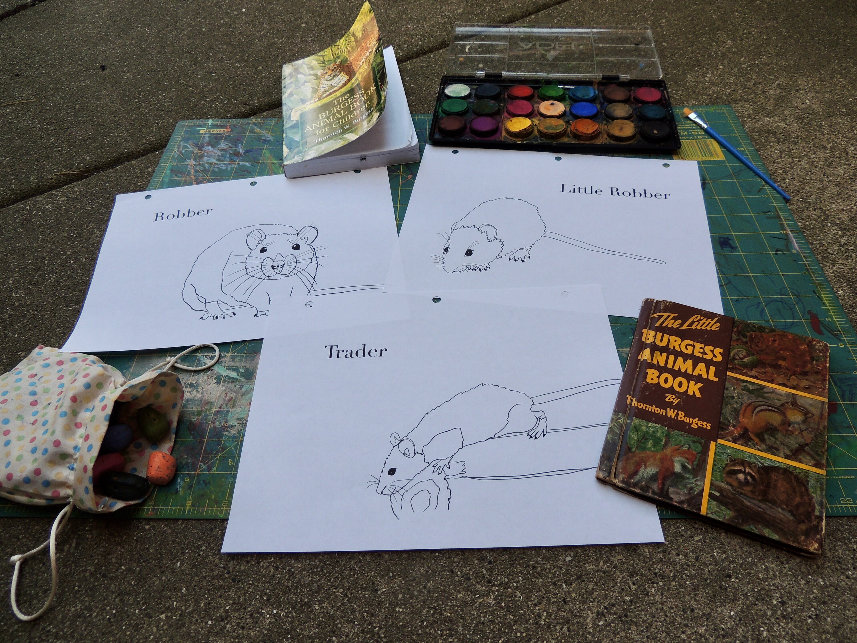 Burgess Animal Book for Children Coloring Pages Chapters 1324 Etsy