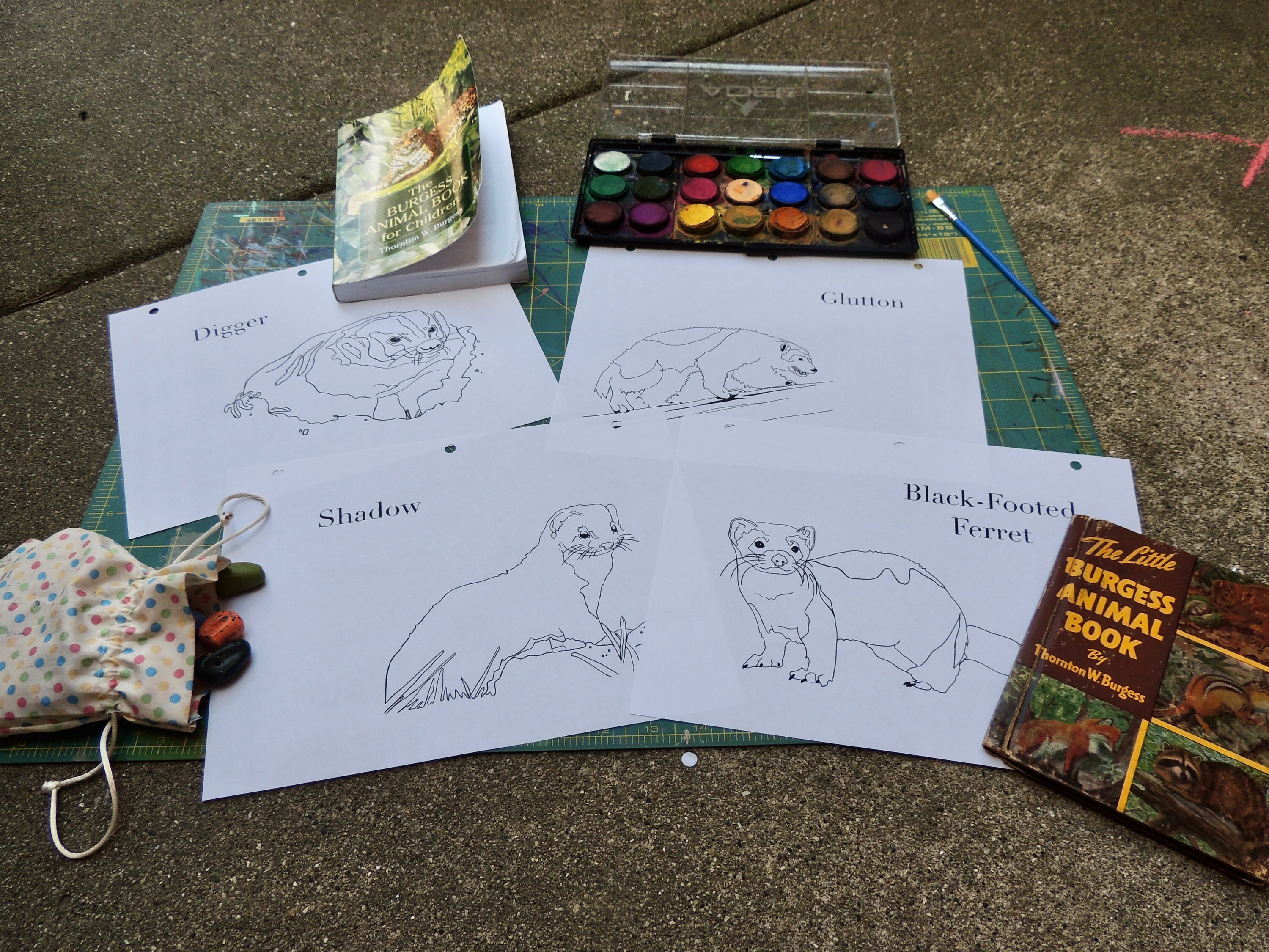 Burgess Animal Book for Children Coloring Pages Chapters 1324 Etsy