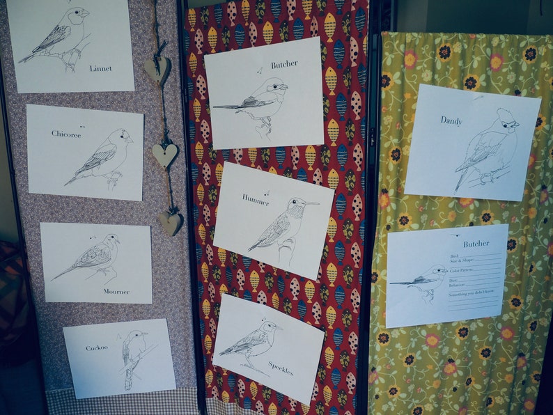 Burgess Bird Book Coloring Pages Chapters 2536 Etsy