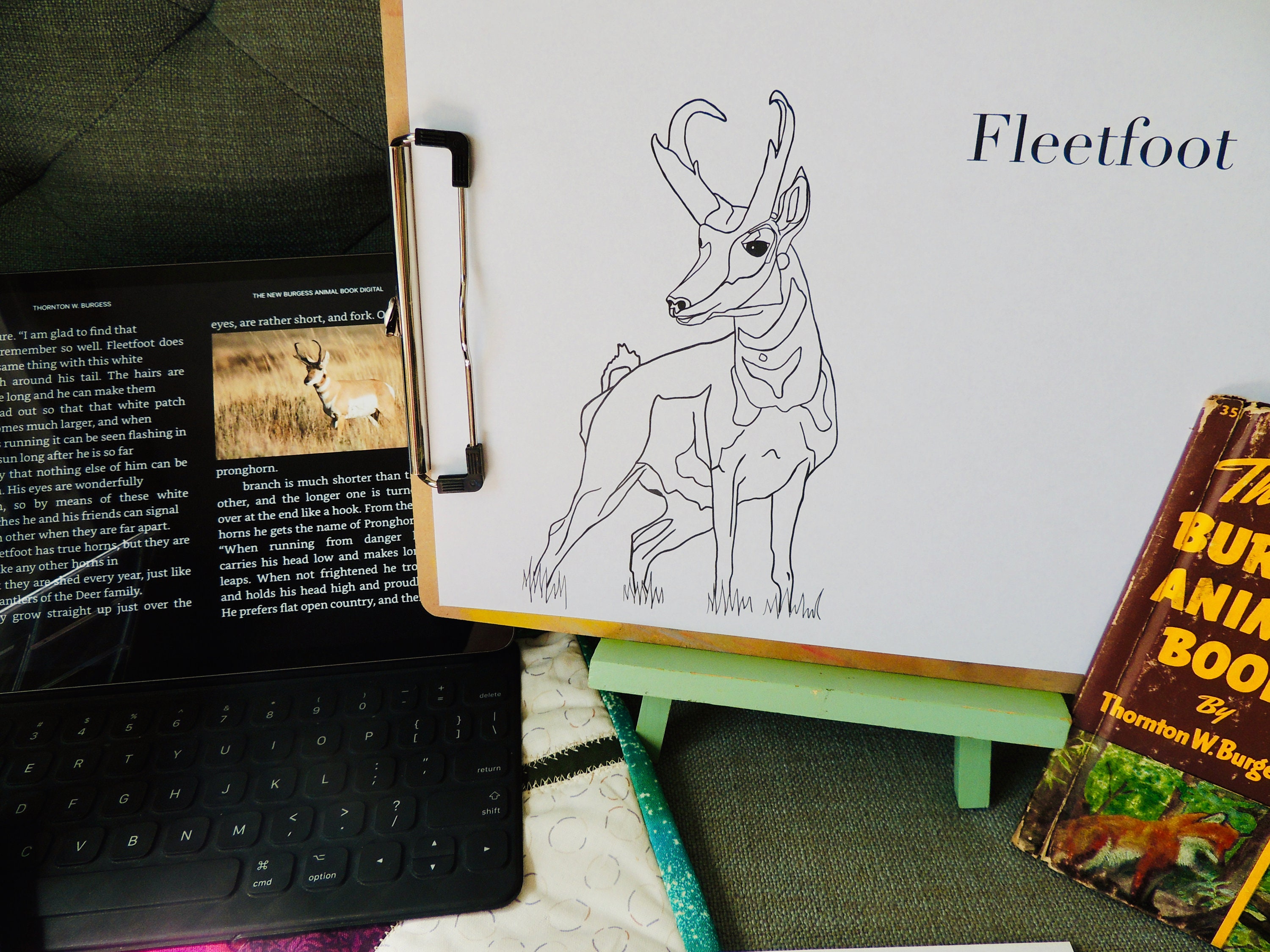 Burgess Animal Book for Children Coloring Pages Chapters 3740 Etsy