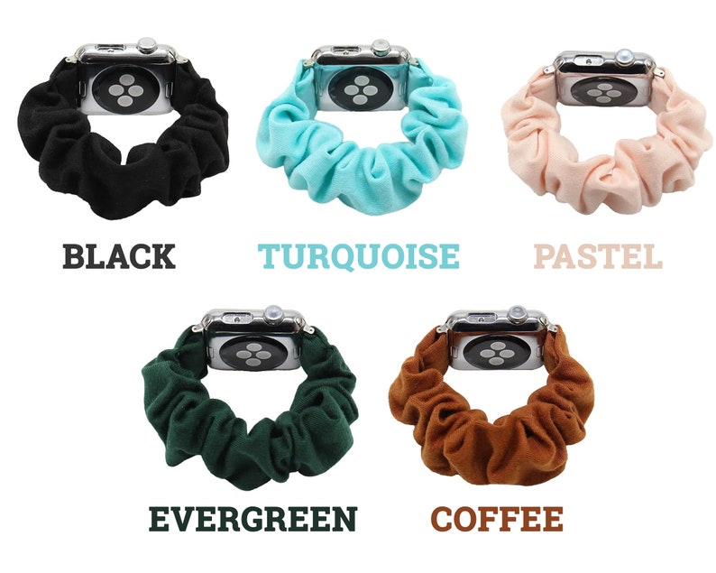 Pu&ograve; includere: Sei cinturini Apple Watch di diversi colori realizzati in tessuto elastico. I colori sono nero, turchese, rosa pastello, verde smeraldo e caff&egrave;.