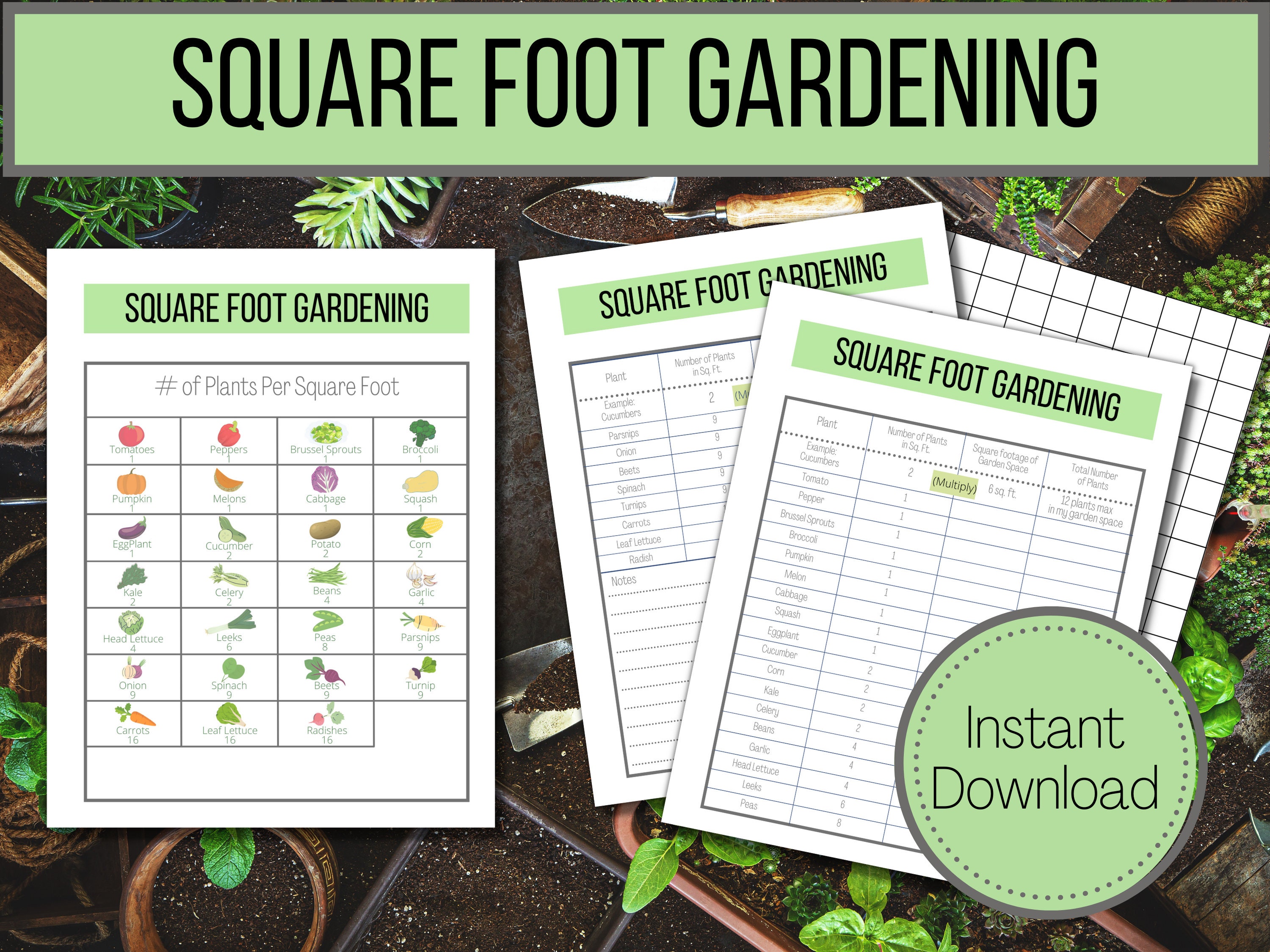 Personalized Seed Plant Spacing Guide Ruler for Gardeners