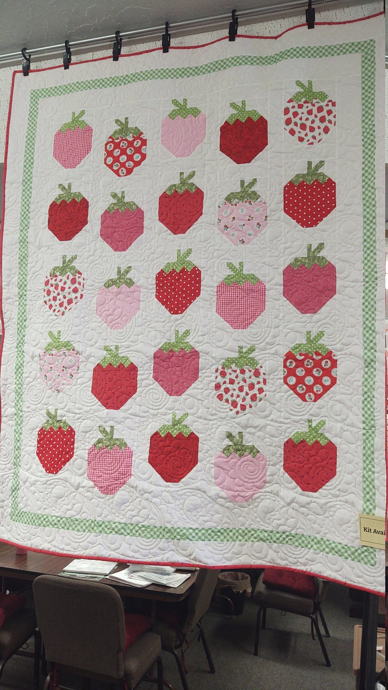 Strawberry Social Quilt Kit Pattern by Margot Languedoc Etsy