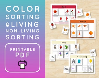 May include: Printable PDF activity cards for color sorting and living/non-living sorting. The cards feature images of various objects, including a tomato, fire hydrant, starfish, traffic cone, koala, cactus, dolphin, scarf, and balloon.