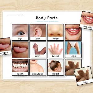 Carpeta de aprendizaje de vocabulario Montessori con partes del cuerpo, hoja de trabajo, juego de actividades para la educación en el hogar, material imprimible para niños de jardín de infantes en formato PDF