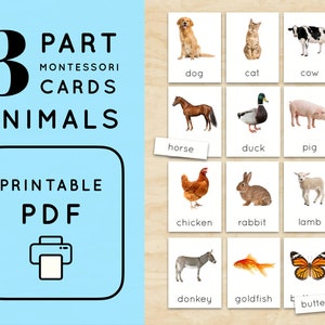 Montessori Animals 3 Part Cards Vocabulary 24 Animals Flashcards Educational Homeschool Activity Kindergarten Game Printable Kids PDF