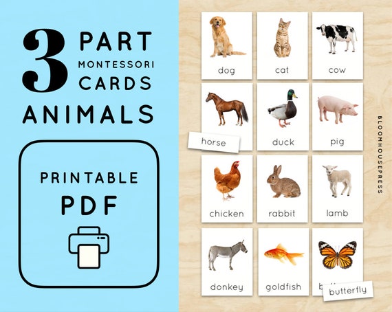 Montessori Animals 3 Part Cards Vocabulary 24 Animals - Etsy