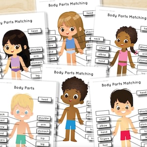 Body Parts & Human Anatomy Matching Puzzle Worksheets Girl Boy Learning Binder Busy Book Preschool Science Homeschool Activity PDF Kids