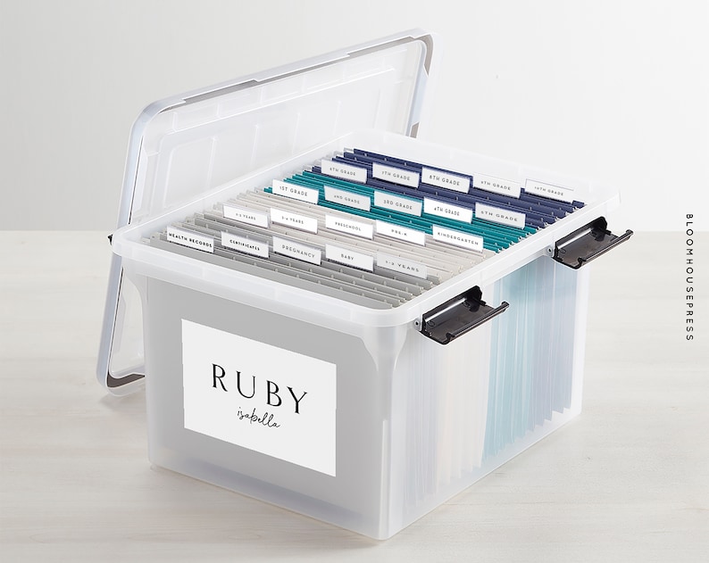 Printable Labels Filing System Milestone File Tab Organization - Etsy