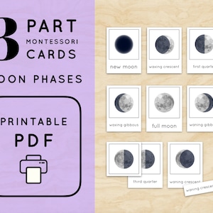 Moon Phases Worksheet Matching Bundle Montessori Moon Phases 3 Part ...