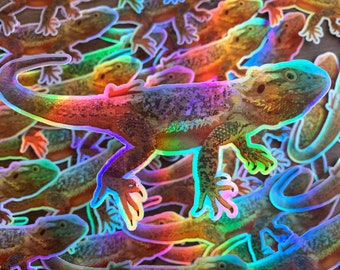 May include: A close-up of a group of iridescent stickers featuring bearded dragons. The stickers are arranged in a random pattern and are all different sizes. The stickers are holographic and have a rainbow effect.