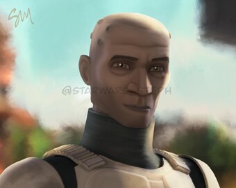 Is this Goodbye? ~ Echo ~ 8x10 Glossy Print ~ Star Wars Art