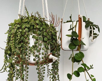 Handcrafted Leather Plant Hanger: Mid-Century Modern Hanging Planter