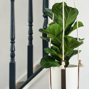 Op de afbeelding: Een witte keramische hangpot met een groene, bladerrijke plant erin. De pot hangt aan een wit touw en bruine leren banden aan het plafond.