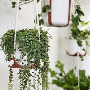 Leather plant hanger indoor JUNGLE houseplant stand hanging decor plant holders plant hanger swing plant HAMMOCK planter