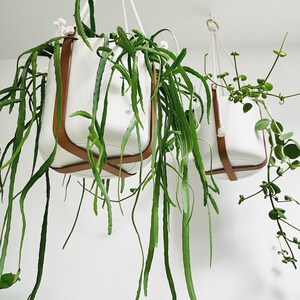 Indoor leather plant harness hanging plant hanger macrame scandi living plant pot natural brown leather plant boho decor plant house swing