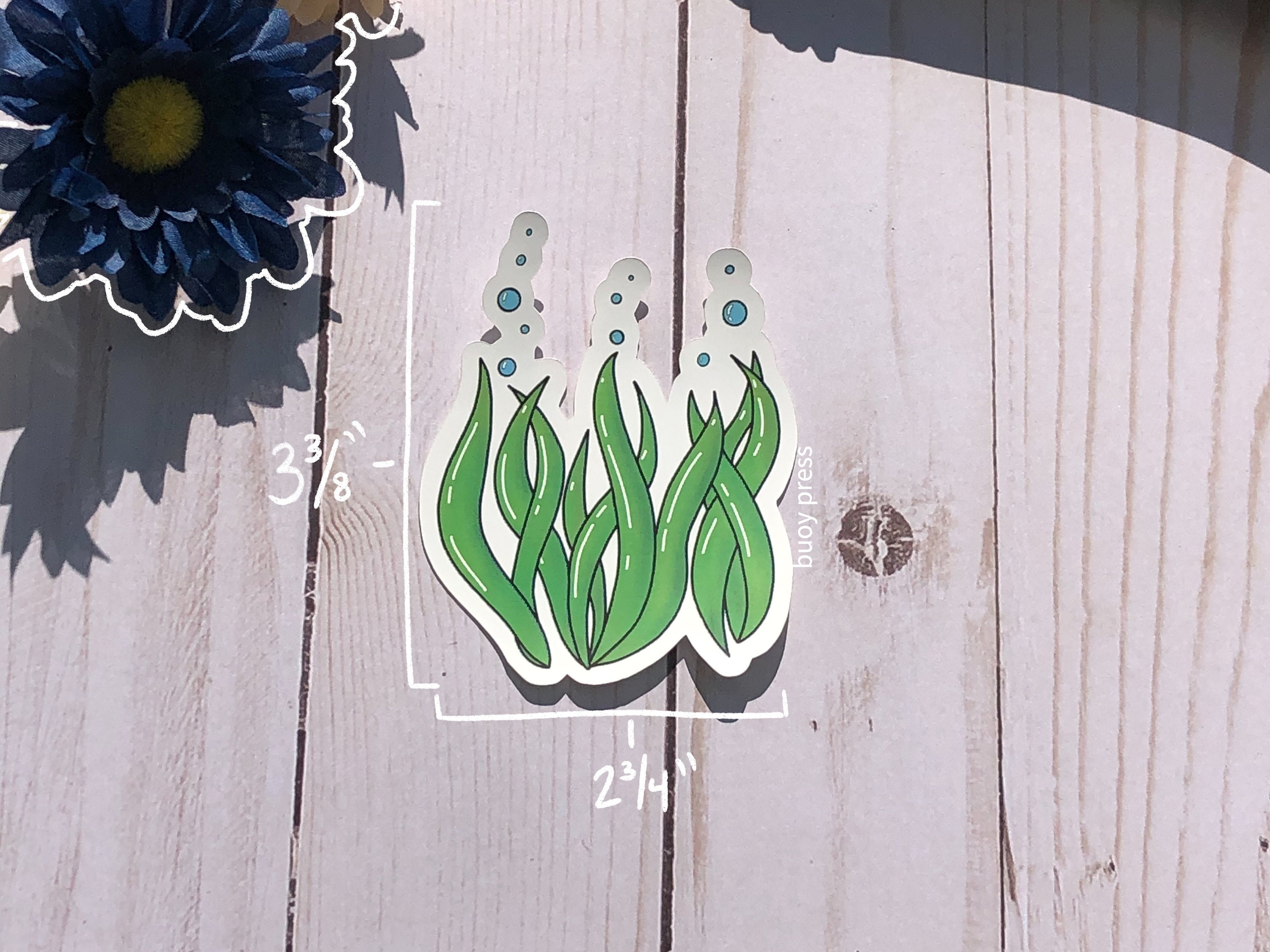Seaweed Sea Creatures Ocean Decorative Sticker Etsy UK