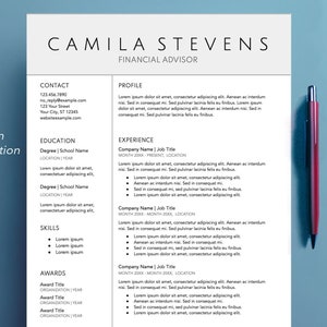 Google Docs Resume Template, Minimalistic, Professional Resume Template Modern 2 Pages, CV Template Design, All Proceeds Go to Charity!