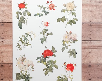 Victorian Roses Sticker Sheet: Matte Vinyl Planner Stickers