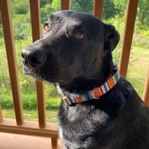 Albuquerque Southwestern Dog Collar