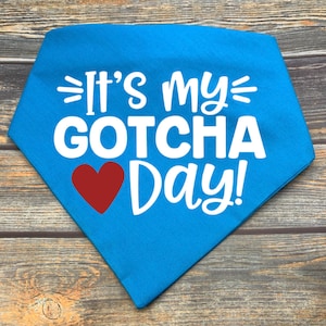 It&#39;s My Gotcha Day Pet Bandana