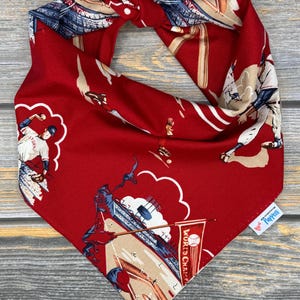 Baseball Game Pet Bandana