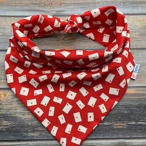 Love Letters Pet Bandana