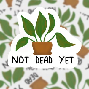 Op de afbeelding: Een witte sticker met een groene plant in een bruine pot en de tekst "NOT DEAD YET".