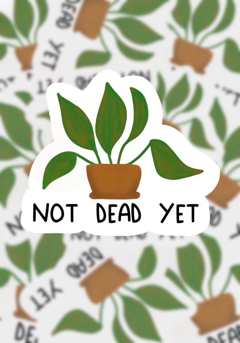 Op de afbeelding: Een witte sticker met een groene plant in een bruine pot en de tekst "NOT DEAD YET".