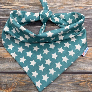 Turquoise Stars Pet Bandana