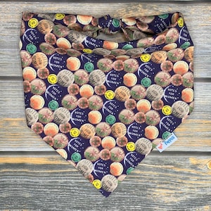 Votes for Women Pet Bandana