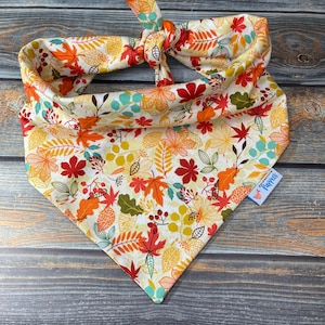 Herbstlaub Haustier Bandana