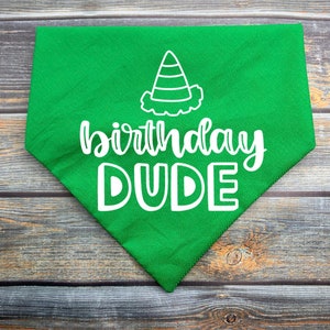 Cumpleaños Dude Party Hat Pet Bandana