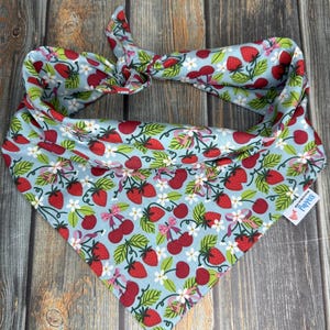 Strawberries and Cherries Pet Bandana