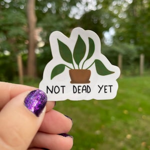 Op de afbeelding: Een witte sticker met een groene plant in een bruine pot. De tekst "NOT DEAD YET" staat onder de plant.