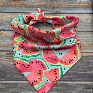 Watermelon Pet Bandana