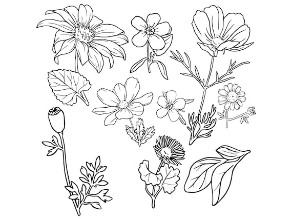 9 Pack of Hand Drawn Flower Digital Download/eps/png/svg File/cricut/cut  File/instant Download/text Dividers/wedding Invite/flower Frame Cut -   Canada