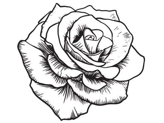 Rose svg, Roses svg, Rose clipart, Rose silhouette, Rose svg file, Rose  vector, Rose cut file, Rose flower svg, Rose png, Rose clip art - Buy  t-shirt designs