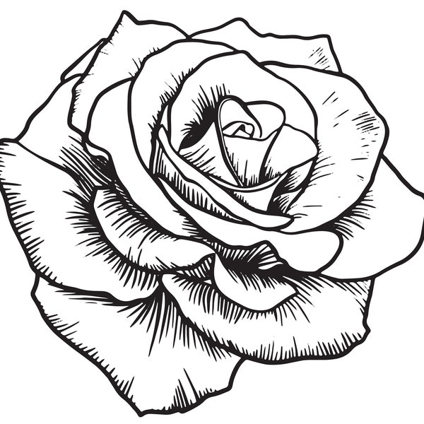 Vintage Black Rose Outline/Line Art/Logo/Decal/Vector/Floral/Cricut/Cut File/Instant Download/Sticker/Tattoo Design/EPS/PNG/Clipart/svg file