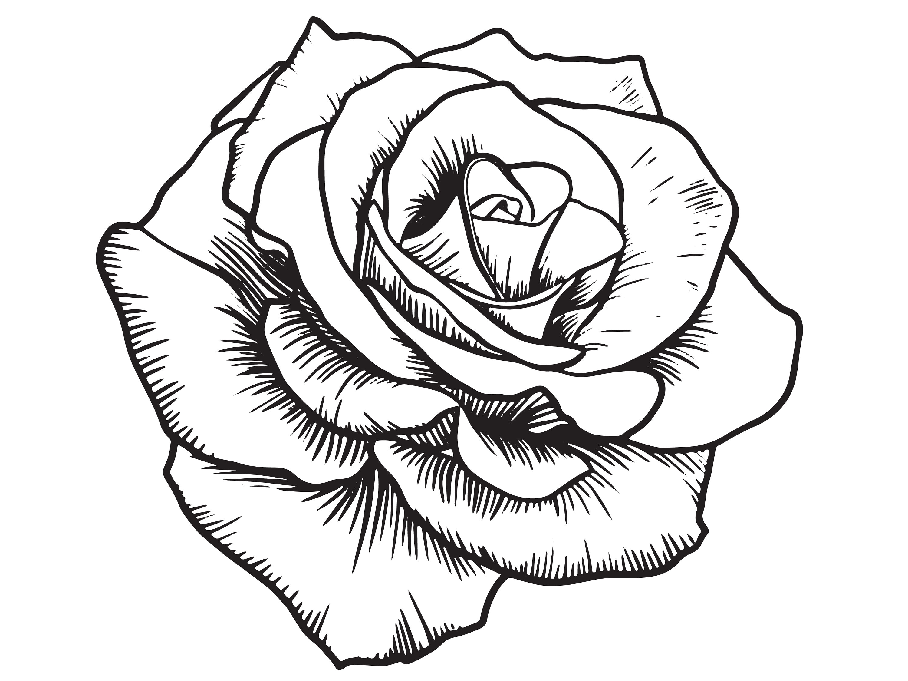 Vintage Black Rose Outline/Line Art/Logo/Decal/Vector/Floral/Cricut/Cut  File/Instant Download/Sticker/Tattoo Design/EPS/PNG/Clipart/svg file