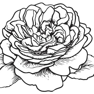 Simple Black Pivony Outline/Line Art/Logo/Decal/Cut/Floral/Cricut/Cut File/Instant Download/Tattoo Design/EPS/PNG/Clipart/svg files
