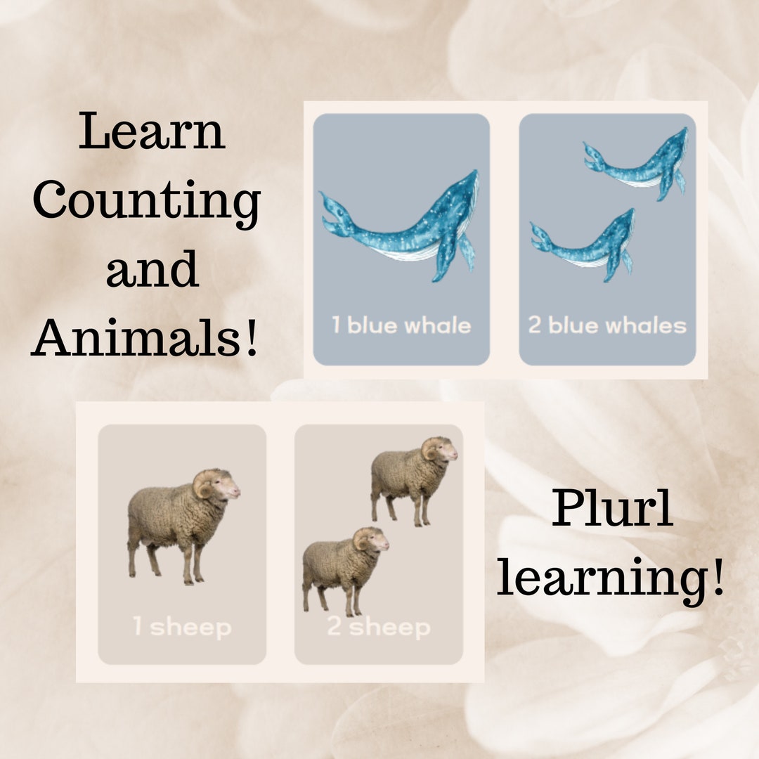 Learn to Count to 2 With Plural Animals Plural Animal Etsy