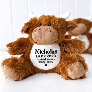May include: Brown plush Highland cow stuffed animal with a white bib that says "Nicholas 14.02.2023 Arrived 10:49am 2560g 53cm"