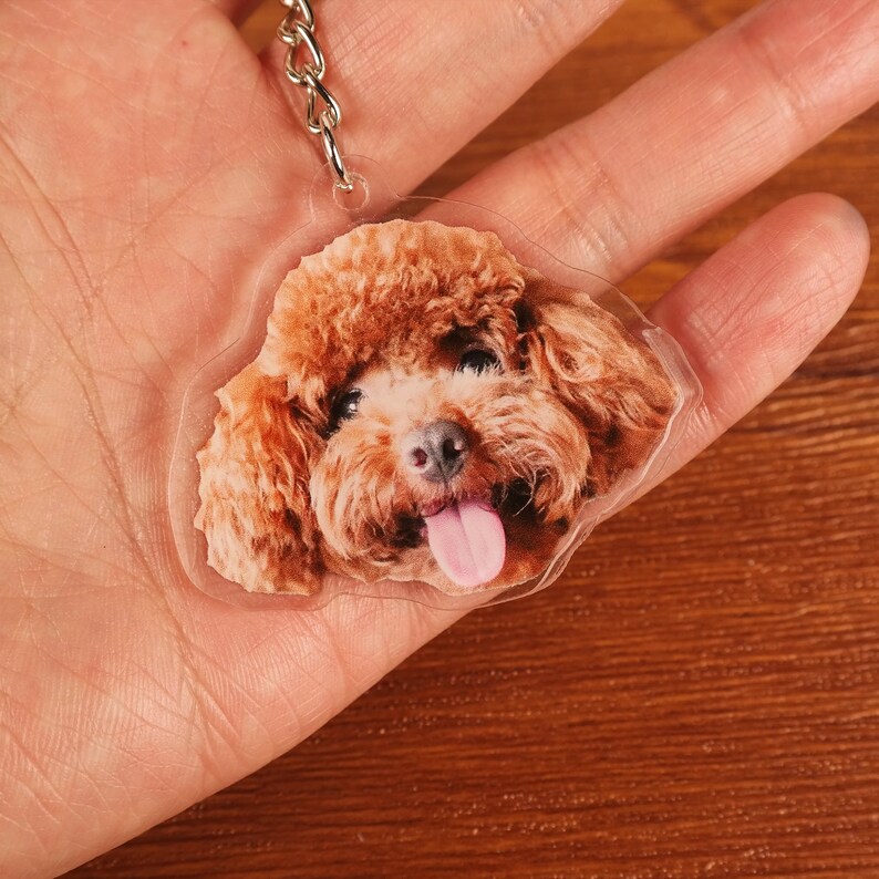 May include: A brown and white poodle dog keychain with a clear acrylic background. The dog is sticking its tongue out.