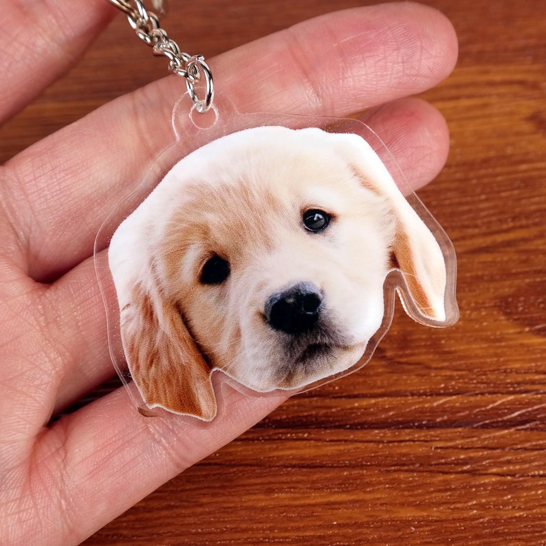 May include: A clear acrylic keychain featuring a golden retriever puppy with brown eyes. The puppy's head is facing forward and its ears are floppy.