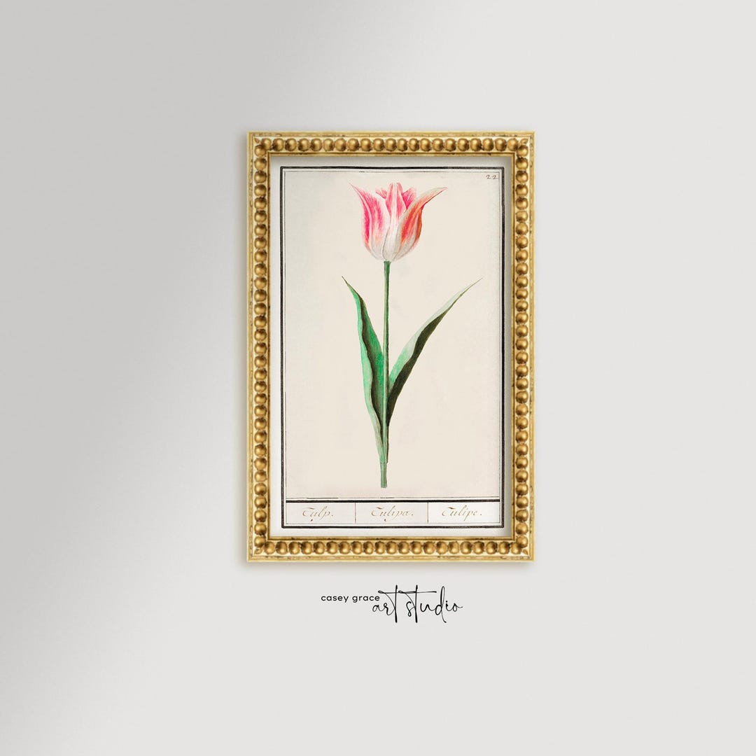 Tulip Botanical Wall Art Print / Framed Vintage Tulip Flower Print ...