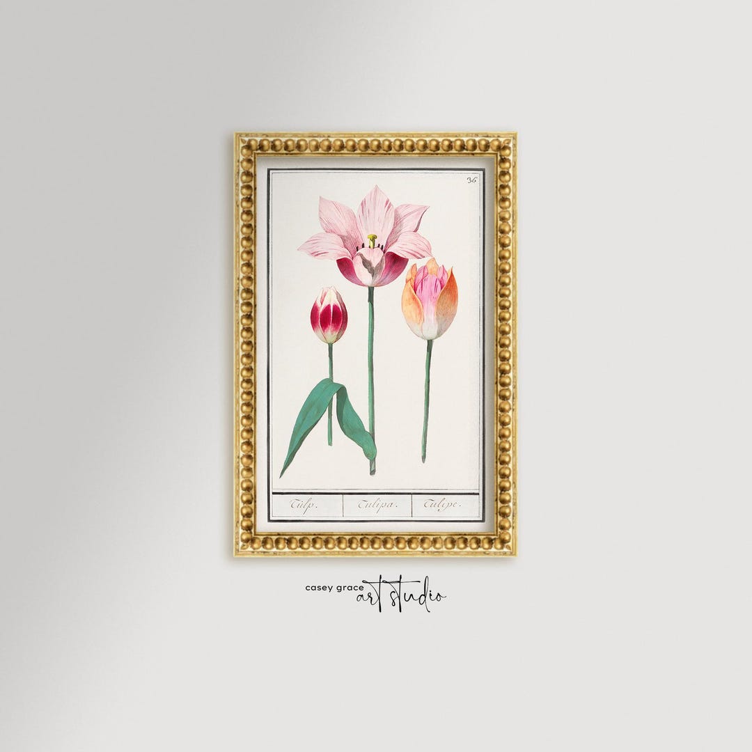 Tulip Botanical Wall Art Print / Framed Vintage Flower Art Print ...