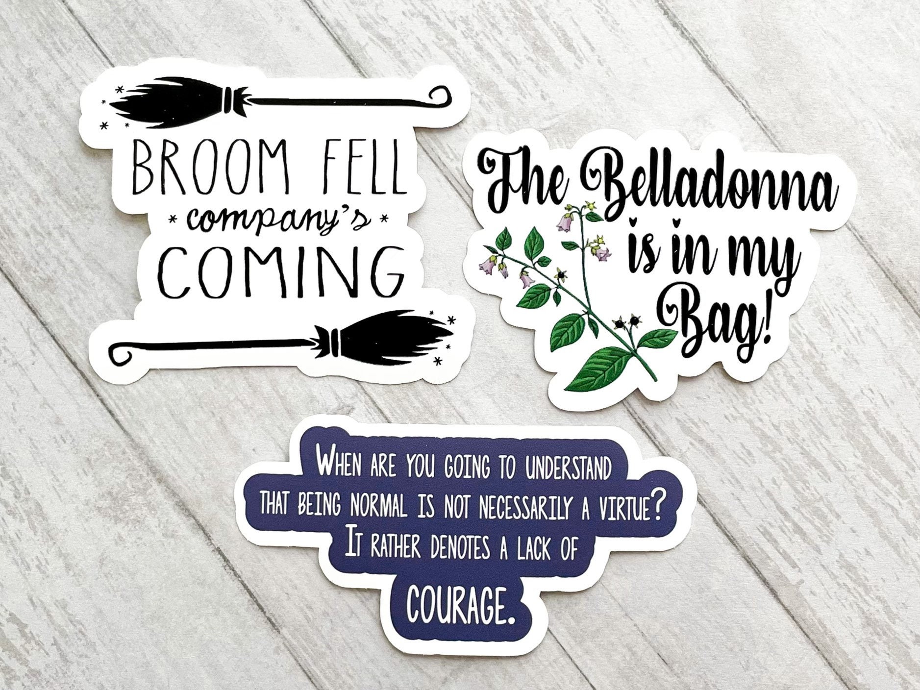 Practical Magic Inspired Sticker Set Broom Fell Companys Etsy België