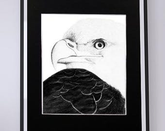 Eagle Graphite Pencil Illustration - Print