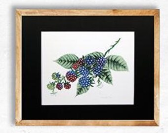 Bramble berries illustration art Print